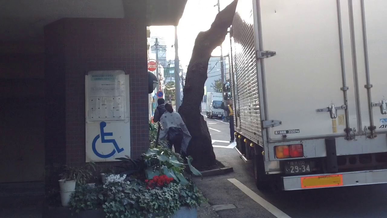 絶対に通さない木VS絶対に通るトラック【乗り物が試される大地横浜】