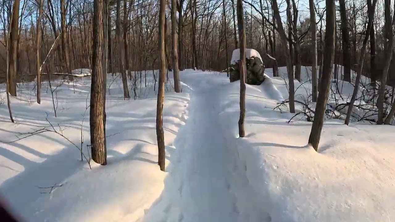 Gatineau Park Ramble