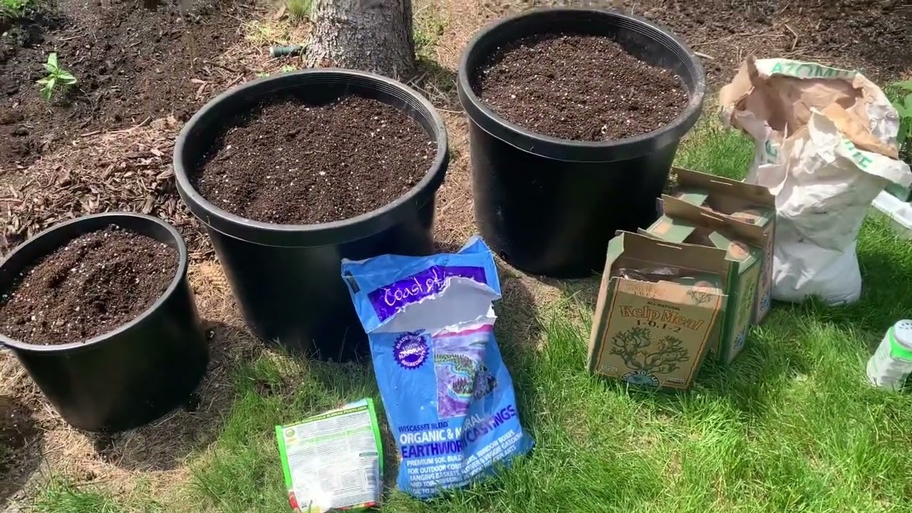 How to Grow Cucumbers in Containers for Maximum Production