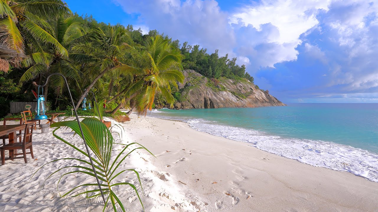 🏝 Scenic Beach View: Island Relaxation From Seychelles