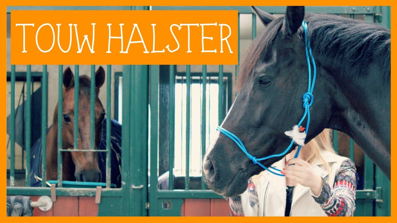 Touwhalster knopen en pimpen | PaardenpraatTV
