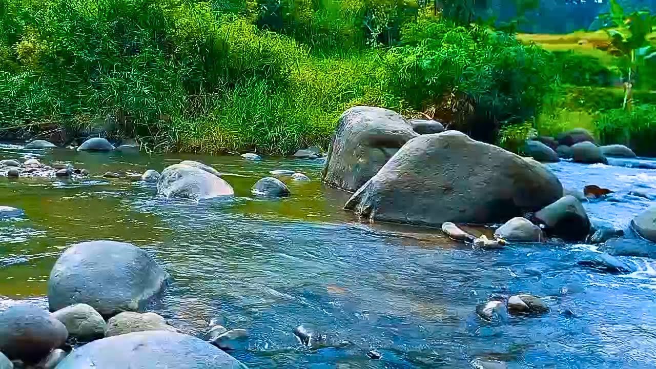RELAXING SOUNDS FOR SLEEPING | TRANQUIL FOREST WATER FLOW FOR SLEEPING, RELAXATION AND MEDITATION #d