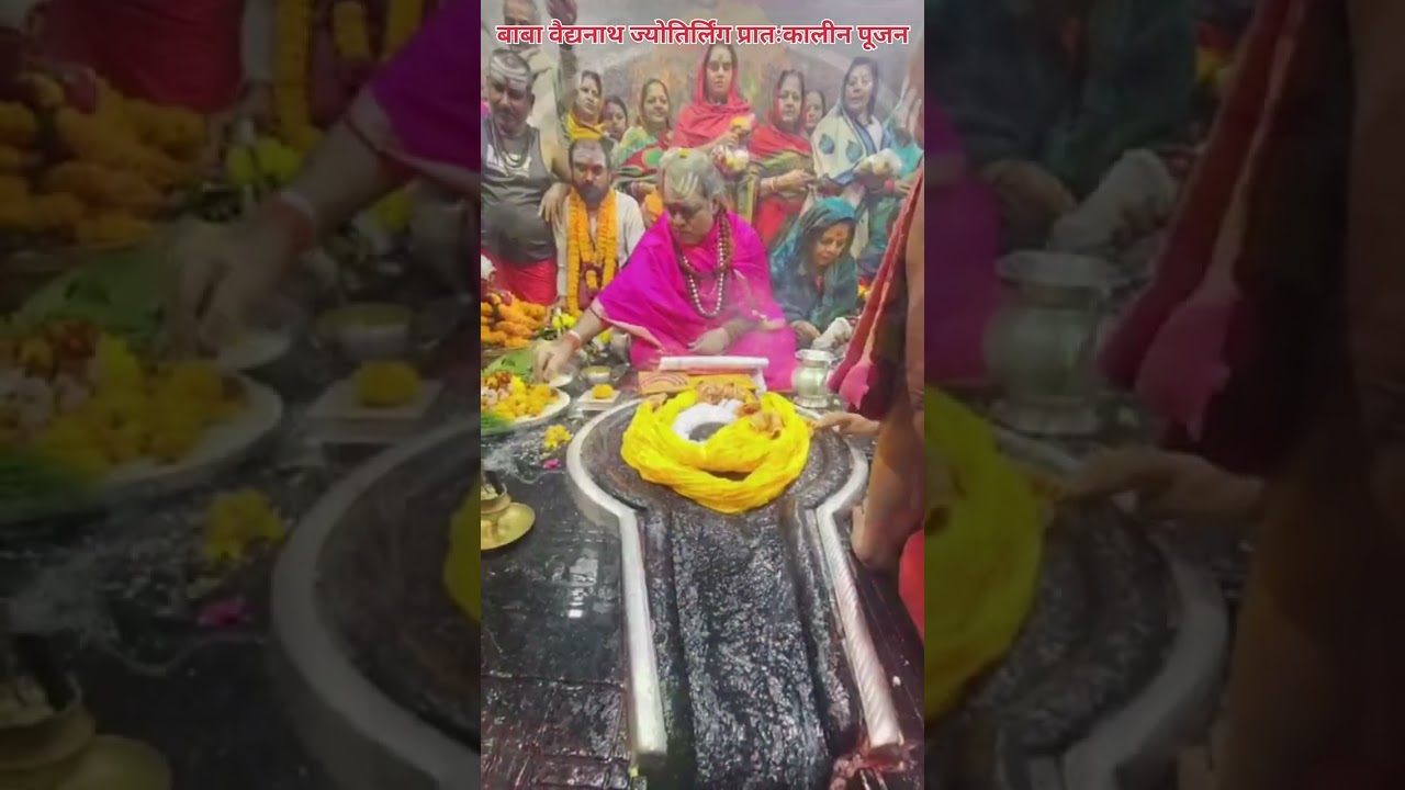 🌺🌿⚘️ बाबा वैद्यनाथ ज्योतिर्लिंग प्रातःकालीन पूजन 🌺🌿⚘️ 9/2/2026 #deoghar #babadham #bholenath #viral 