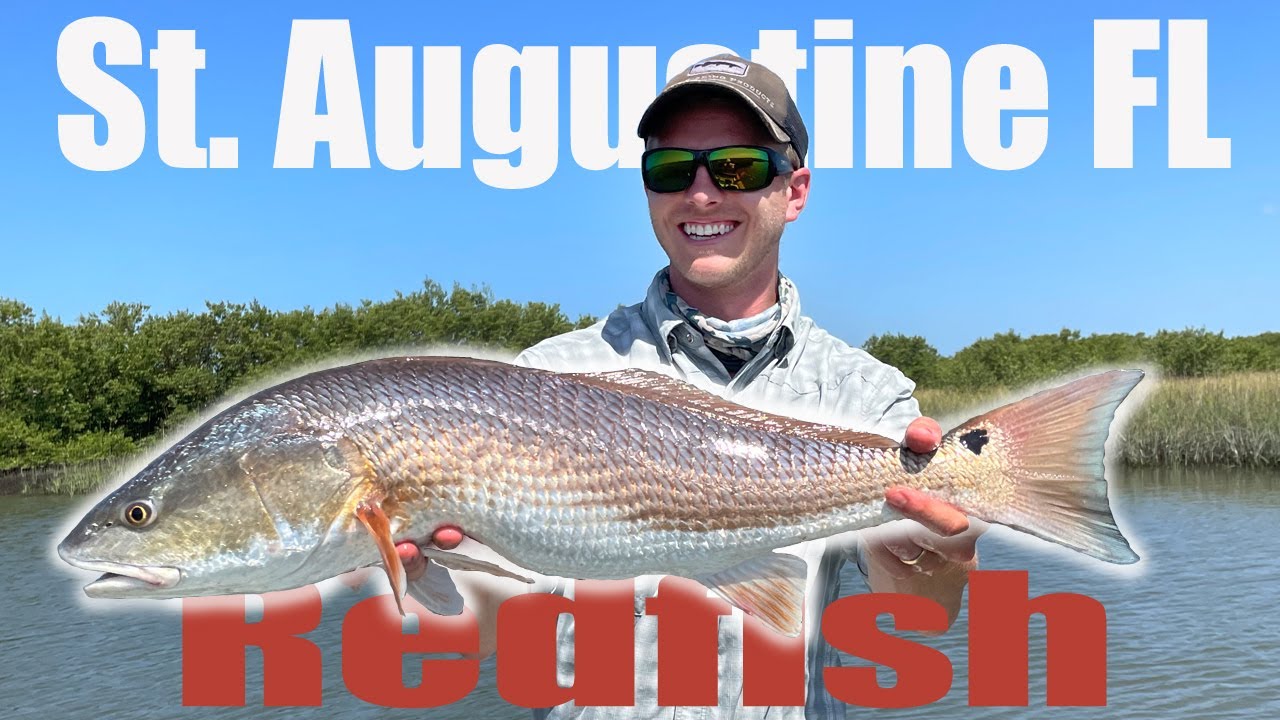 Fly Fishing for Redfish in St  Augustine