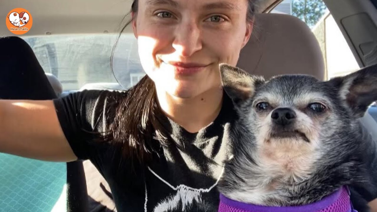 She Went to PetSmart and Met the Dog She Couldn’t Leave Behind