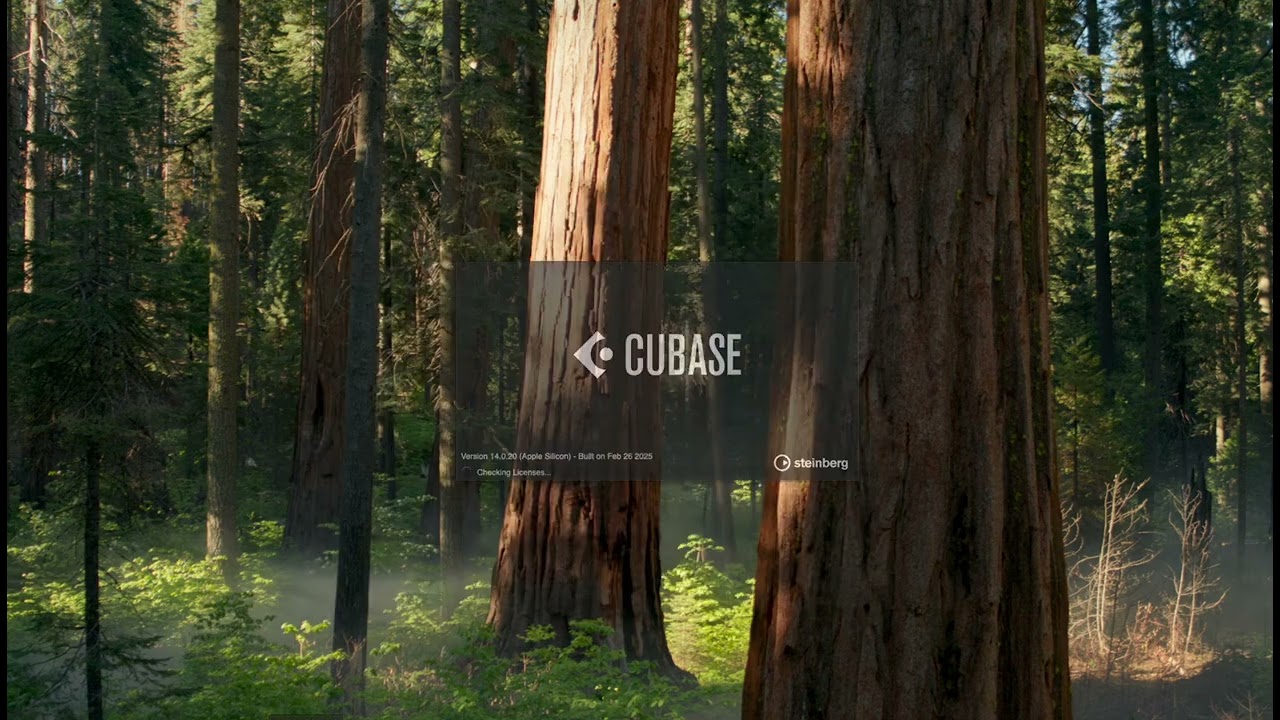 Cubase 14.0.20 - Track Preset with multi output media bay bug