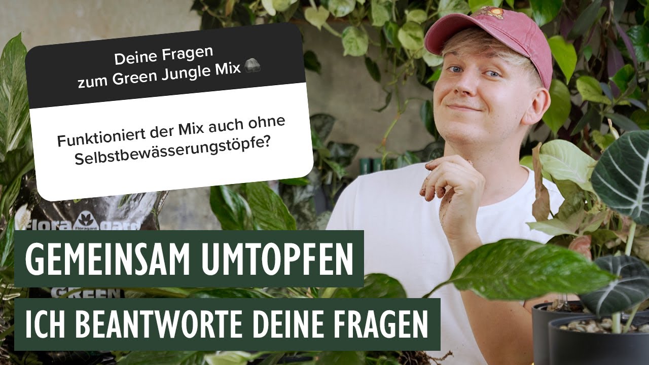 DIESE Antworten zum Green Jungle Mix MUSST du kennen 😱