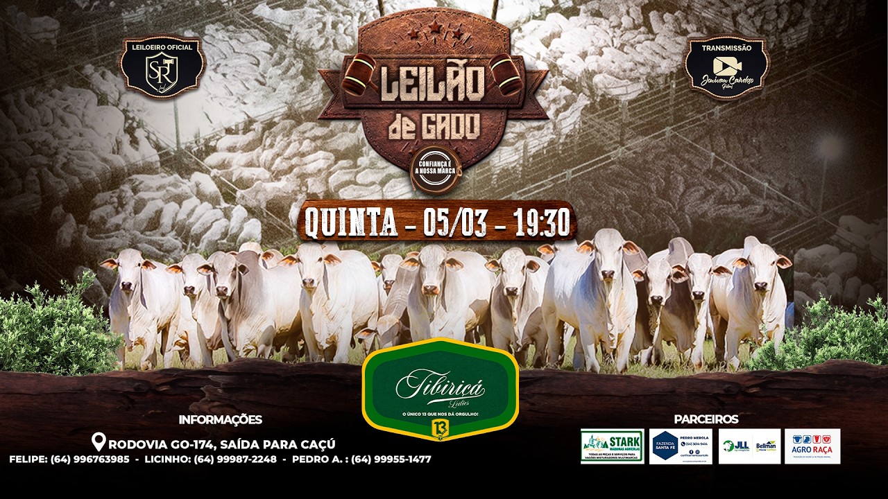 🔴AO VIVO⭐LEILÃO DE GADO 05/03/2026 - TIBIRIÇÁ LEILÕES 🐂🐂🐂