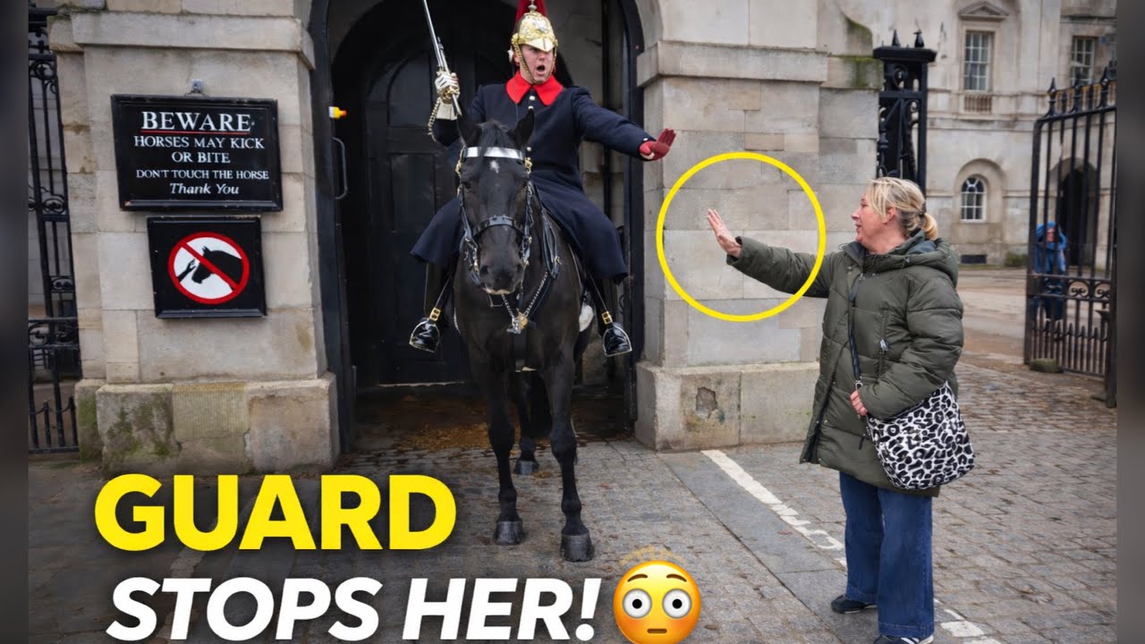 😱Despite the SIGNS This Tourist Asks to TOUCH the Horse — Guard Stops Her Cold!