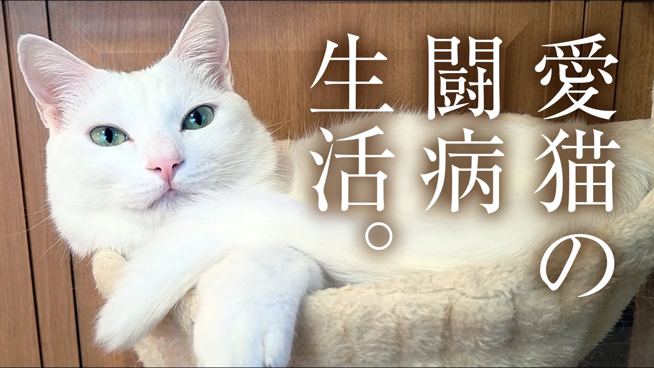 まさかの診断結果・・・。絶対に治そうね。