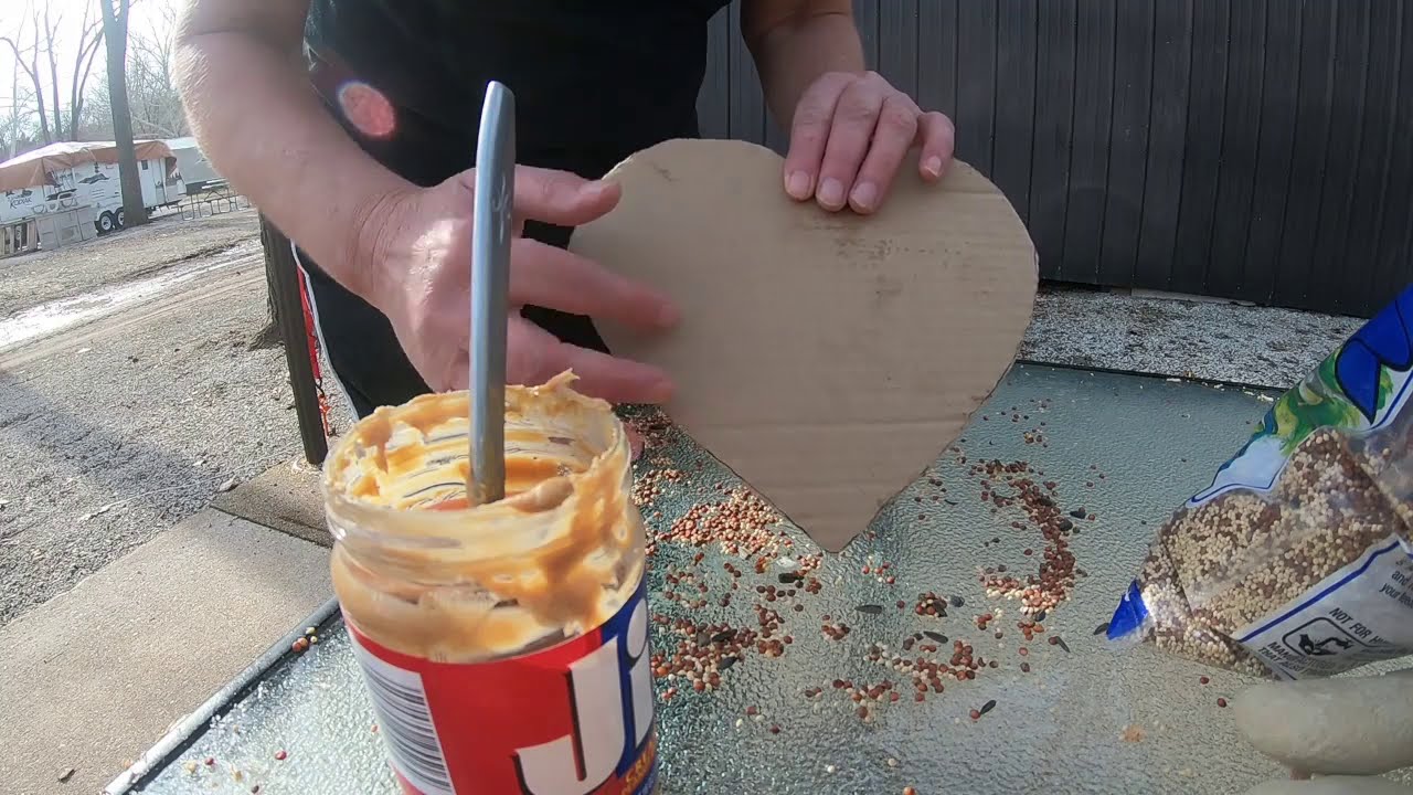 DIY Heart Shaped Peanut Butter Bird Feeders