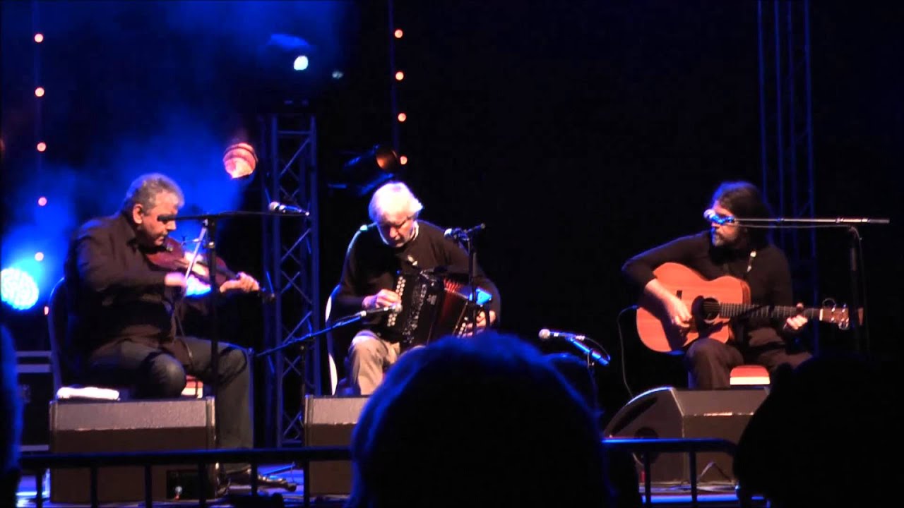 Máirtín O'Connor, Cathal Hayden & Seamie O'Dowd en concert