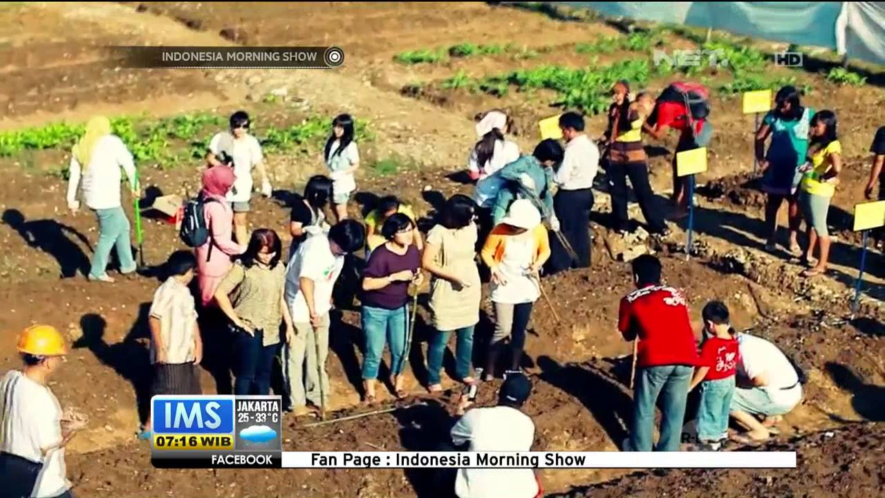Talk Show Aksi Komunitas Indonesia Berkebun - IMS