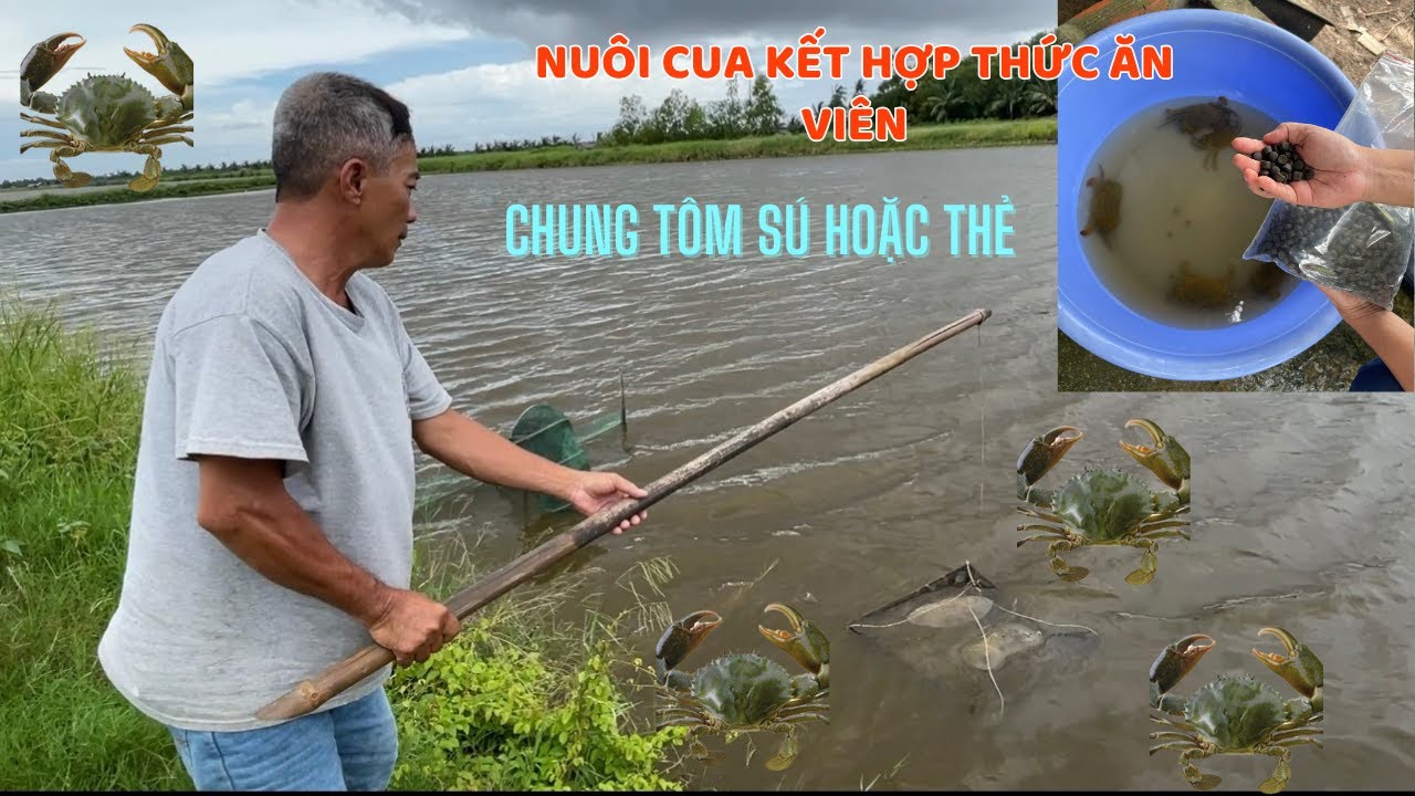 HẾT LO HIỆN TƯỢNG 