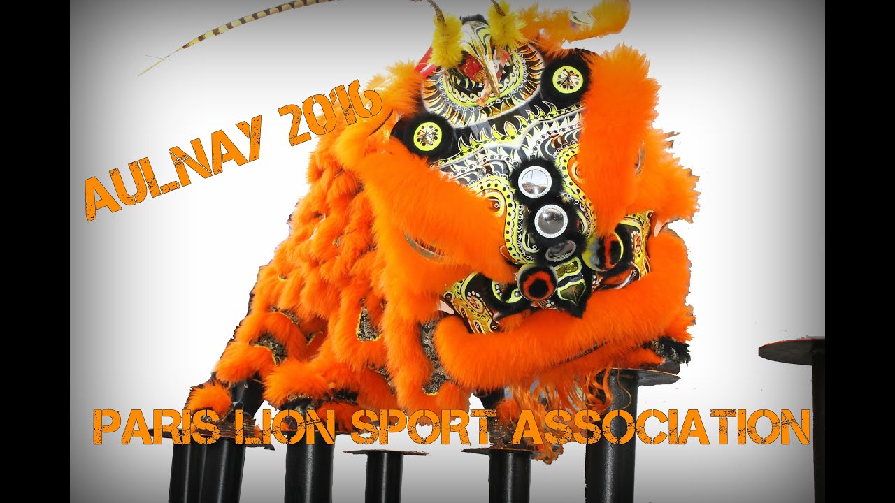 Nouvel an chinois 2016 - Paris Lion Sport Association - 振威堂 - Chinese New Year 2016