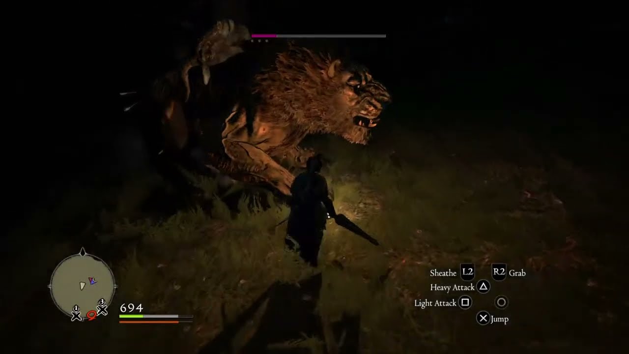 BORA DE DRAGON`S DOGMA DARK ARISEN
