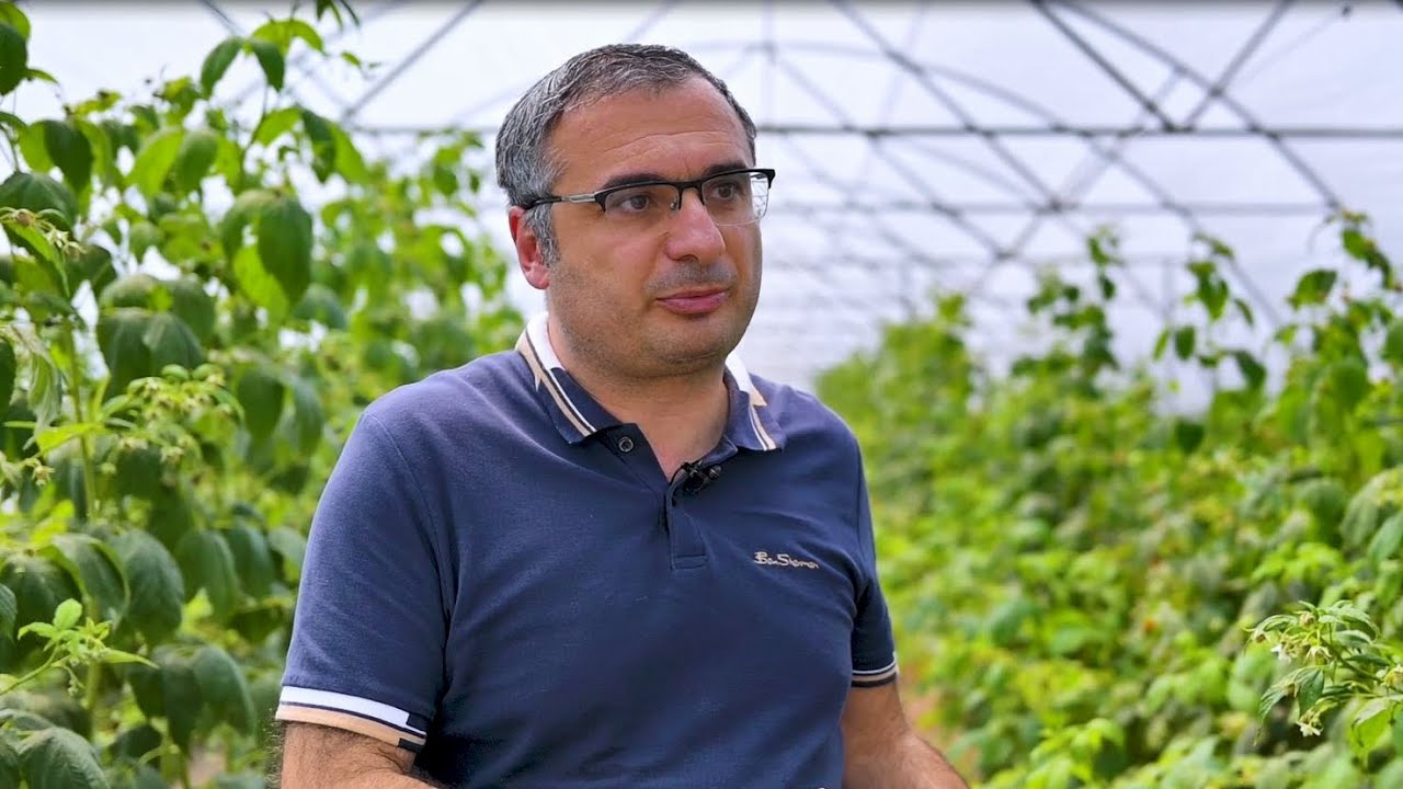 Կոտայքում մեկնարկել է բարձրարժեք մշակաբույսերի մշակություն