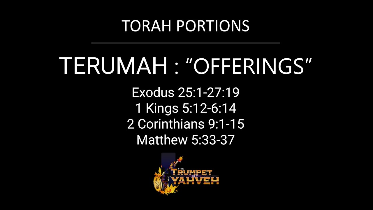 Torah Study
