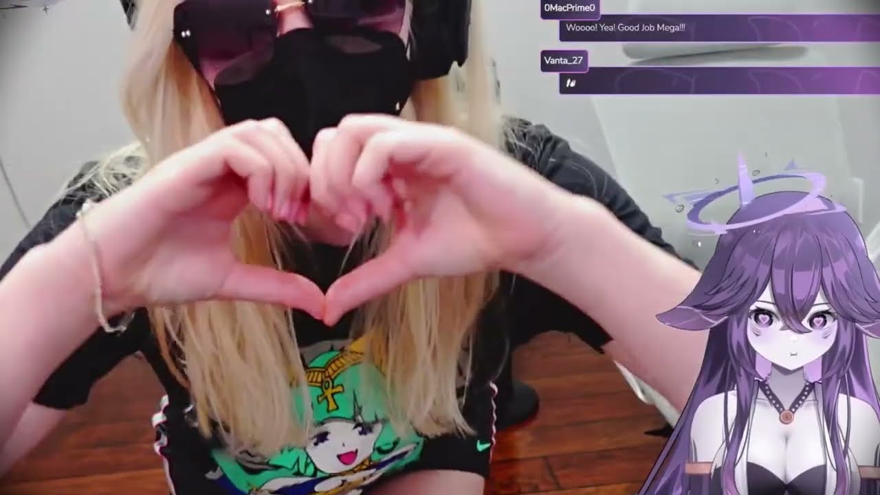 Mega IRL Is Very Funny