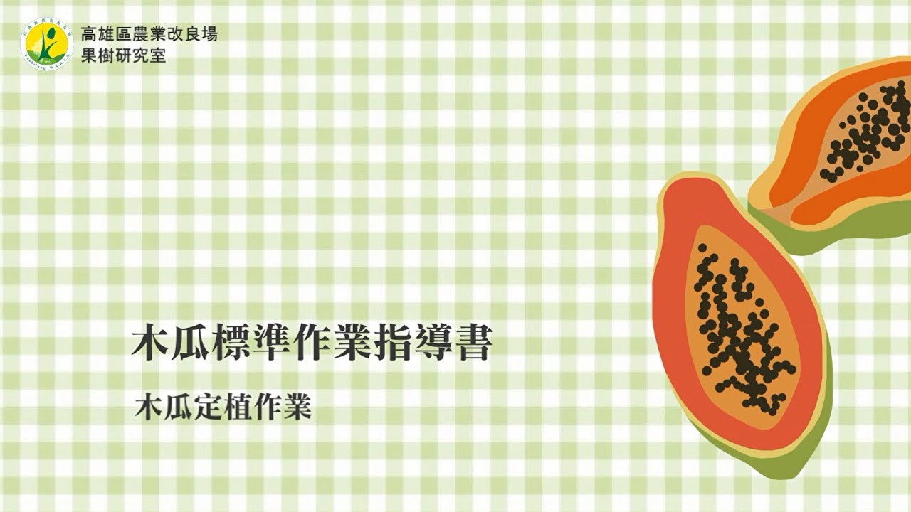 木瓜標準作業指導書：木瓜定植作業