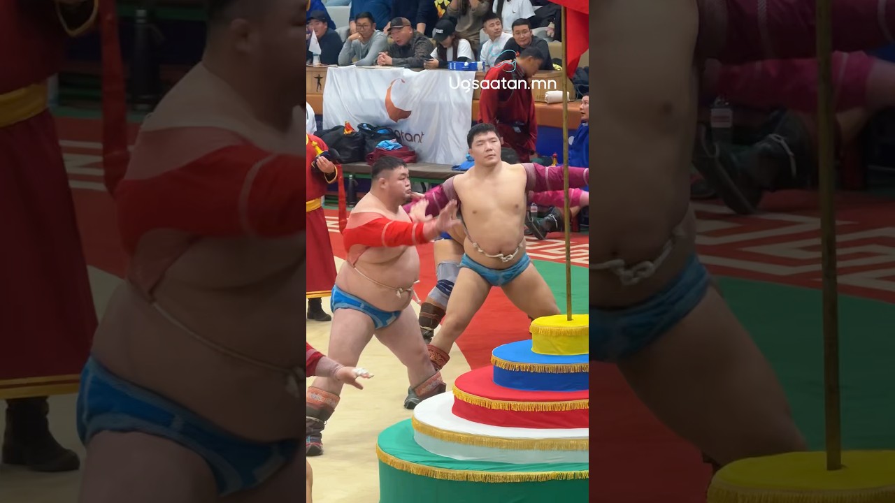 Mongolian traditional wrestling🔥🔥🔥