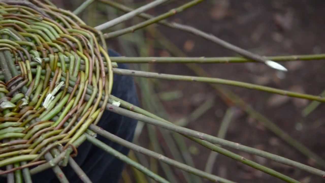 Willow Basketry