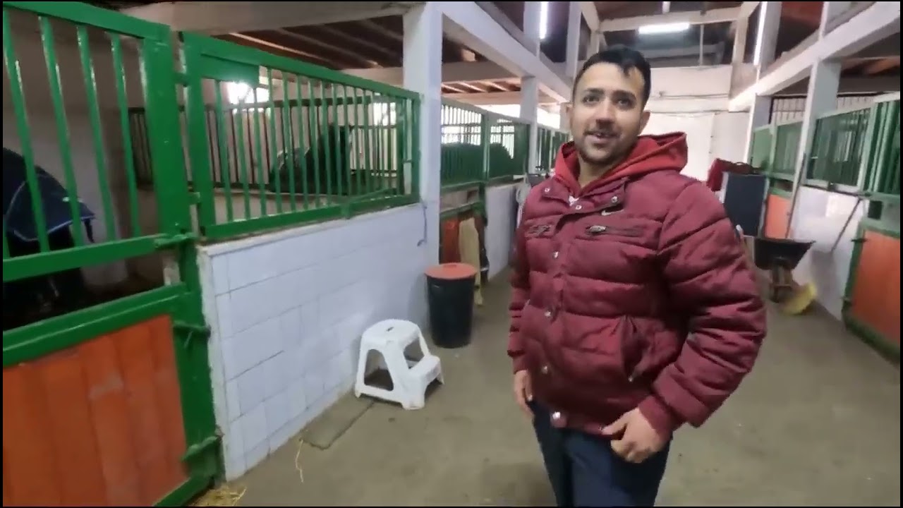 HERGHELIA DRAGON 2000 -CENTRU DE ECHITAȚIE ȘI AGREMENT A DL NUTU CAMATARU-RAHOVA.BUCURESTI
