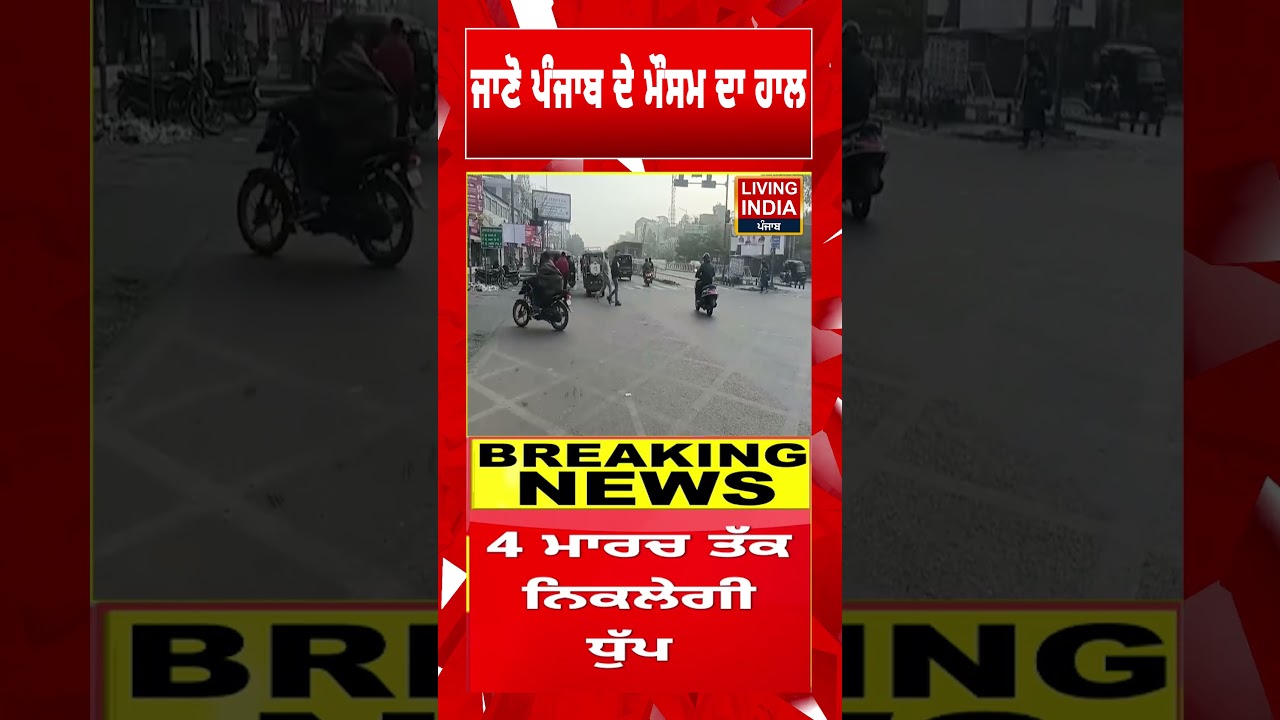 ਜਾਣੋ ਪੰਜਾਬ ਦੇ ਮੌਸਮ ਦਾ ਹਾਲ | Yellow Alert | Punjab Weather Report | IMD | #shorts