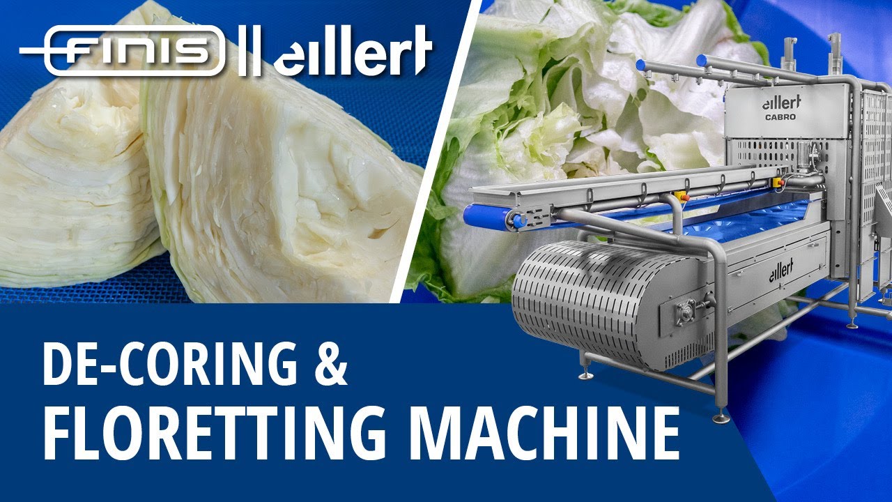 Decoring And Floretting Machine For Cabbage, Iceberg Lettuce, Cauliflower And Broccoli