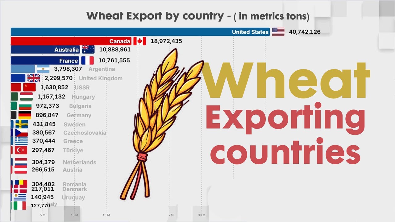 WHO EXPORT THE MOST WHEAT IN THE WORLD ?