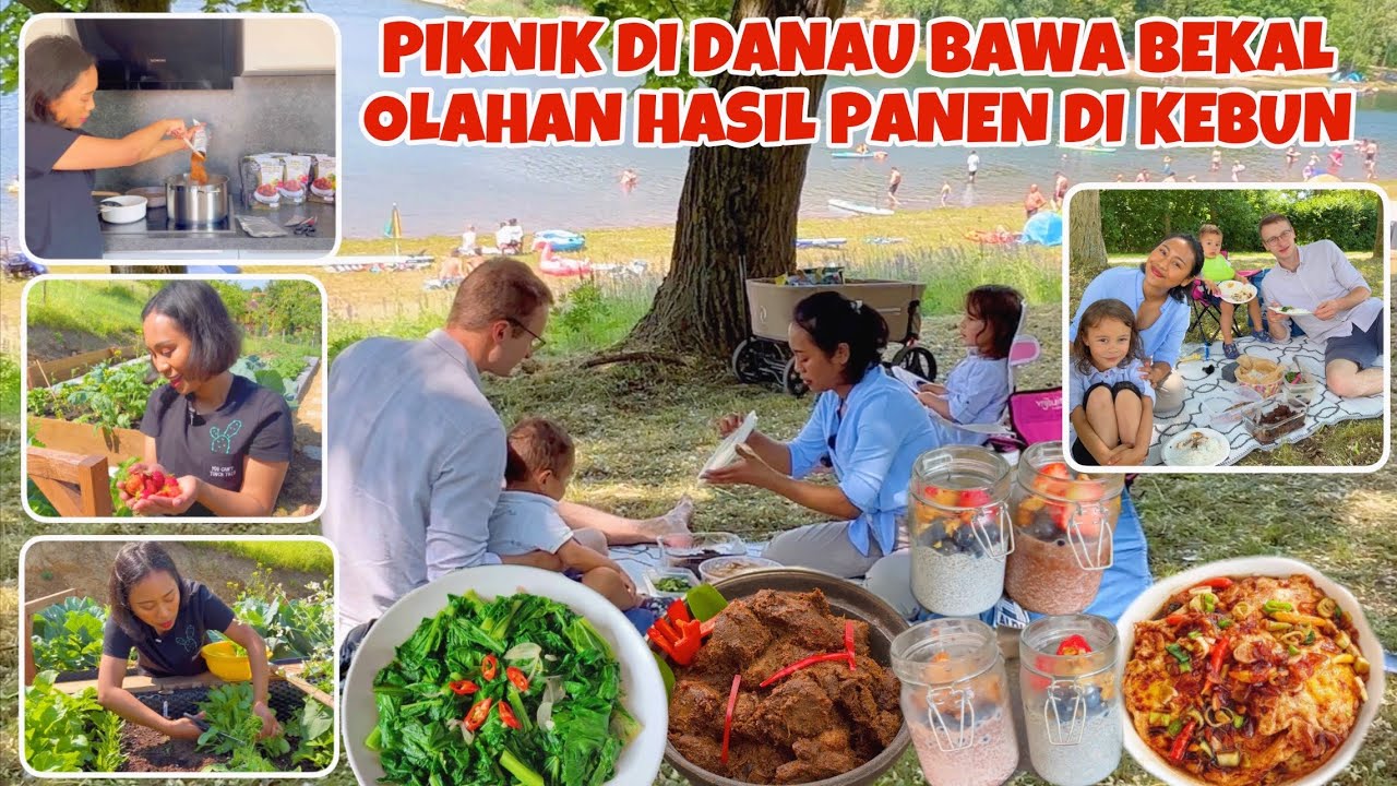 PANEN BUAH DAN SAYURAN DI KEBUN UNTUK BEKAL PIKNIK
