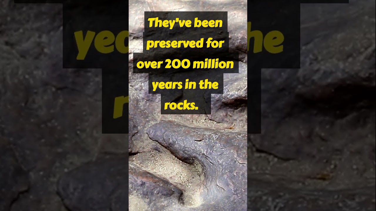 The Cave with Dinosaur Footprints