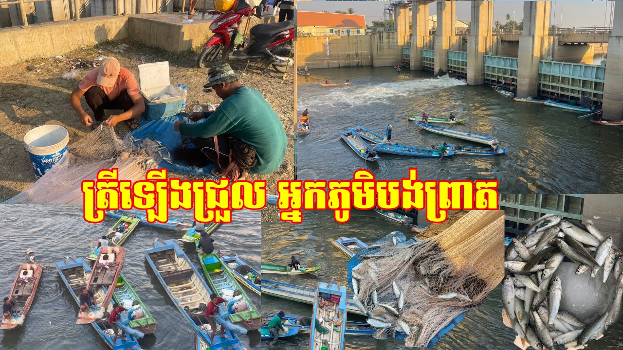 មានទឹកភ្លាម ត្រីជ្រួលឡើង អ្នកបង់ព្រោងព្រាត