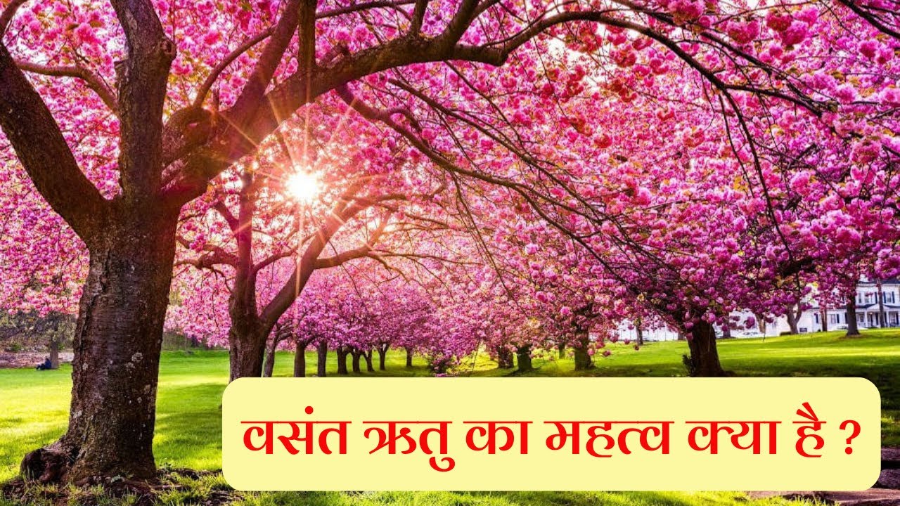 वसंत ऋतु का महत्व क्या है ? | Importance of spring season | Mehulbhai Acharya