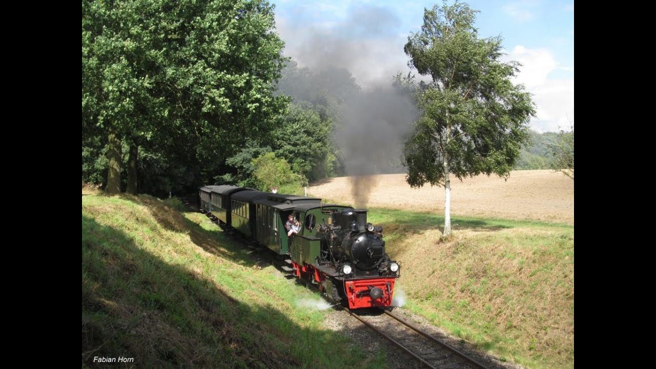 Lok20 