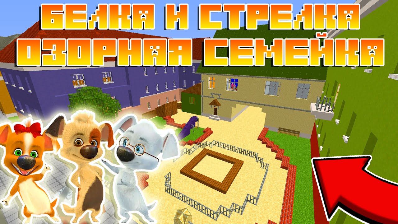 🔵Я В МИРЕ БЕЛКИ И СТРЕЛКИ !
