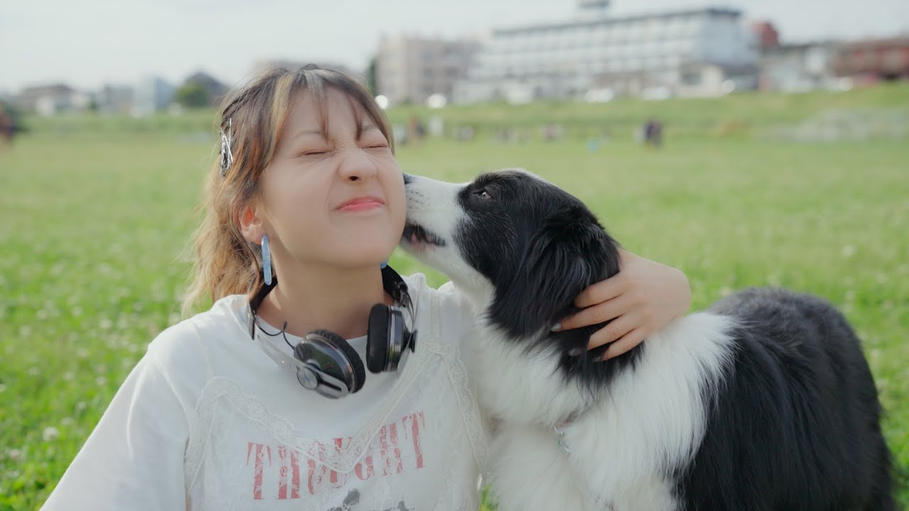 RISANO 「毎日がSpecial」 official Music video