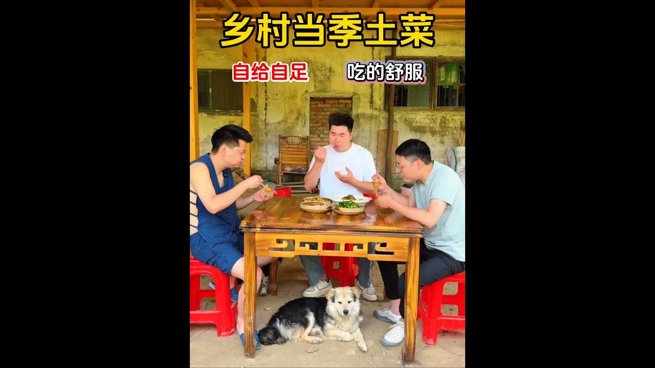 自己田里的几个土菜！吃的舒服！#三农 #新农人计划 #抖音美食创作人 #农村生活 #乡村守护人