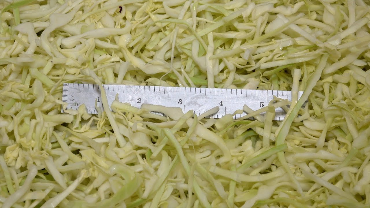 ETRS - White Cabbage 1/8