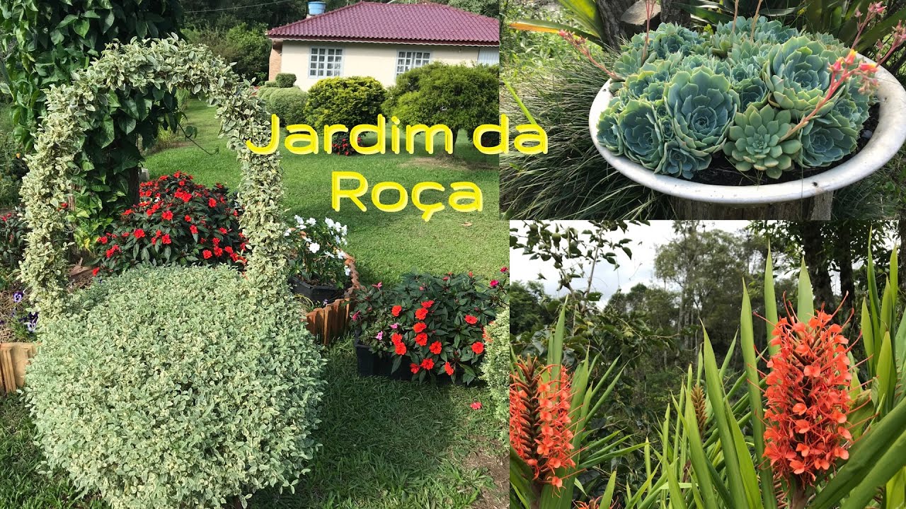TOUR  Jardim da Roça | Até o Lagarto Apareceu