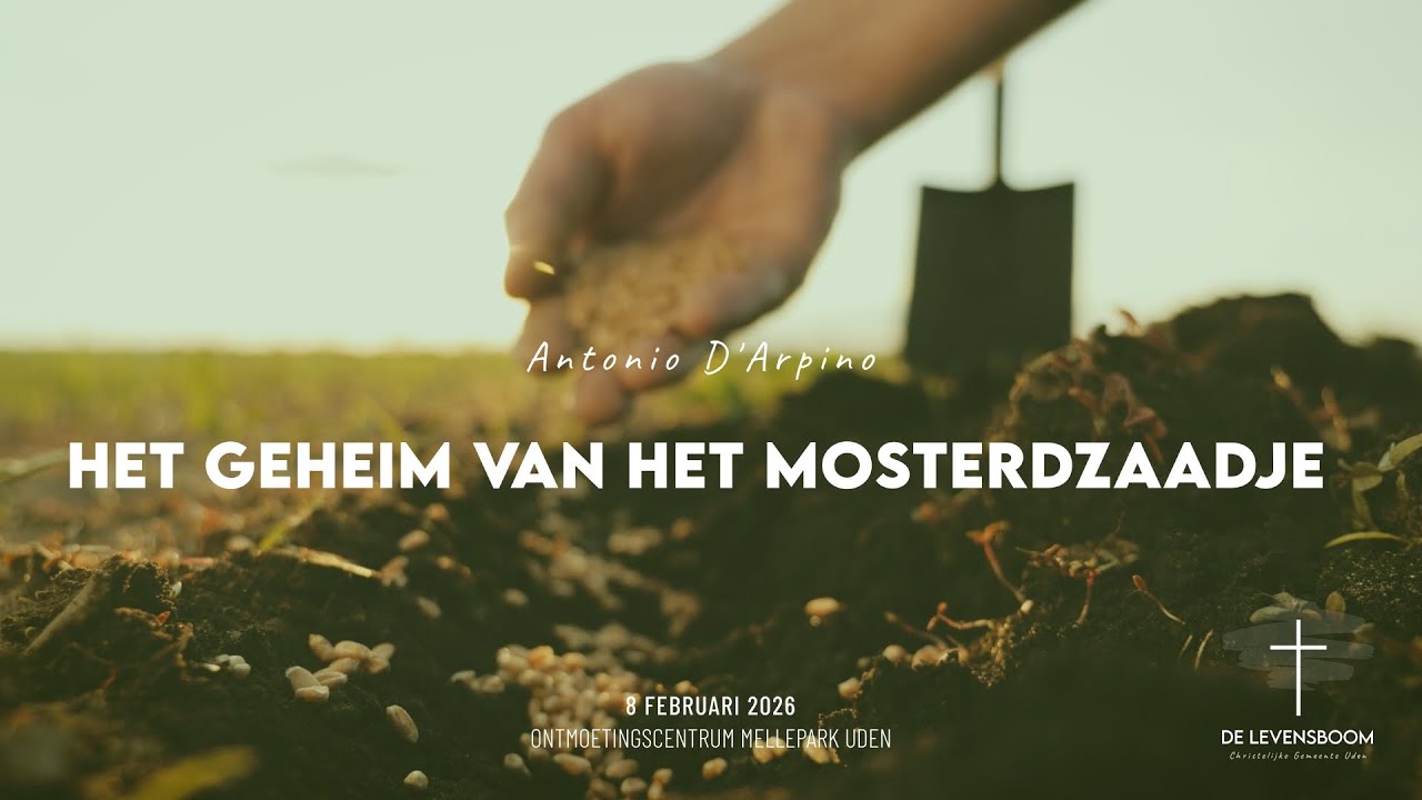 Het geheim van het mosterdzaadje