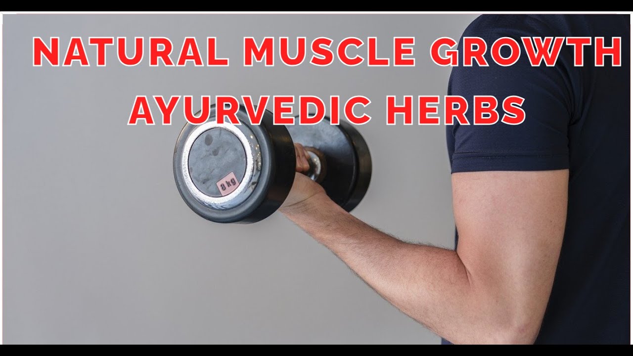 Natural Muscle Growth  Ayurvedic Herbs vs  Synthetic suppliments