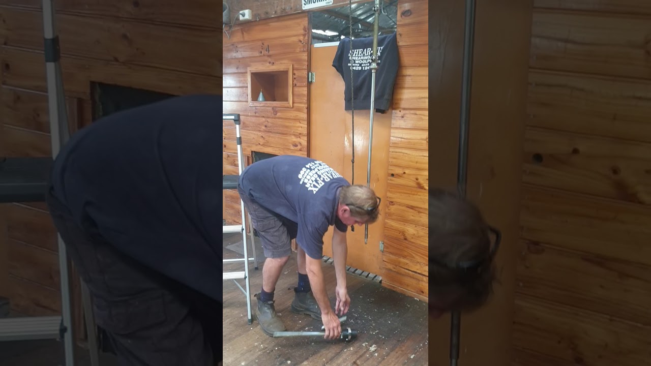Shearing stand