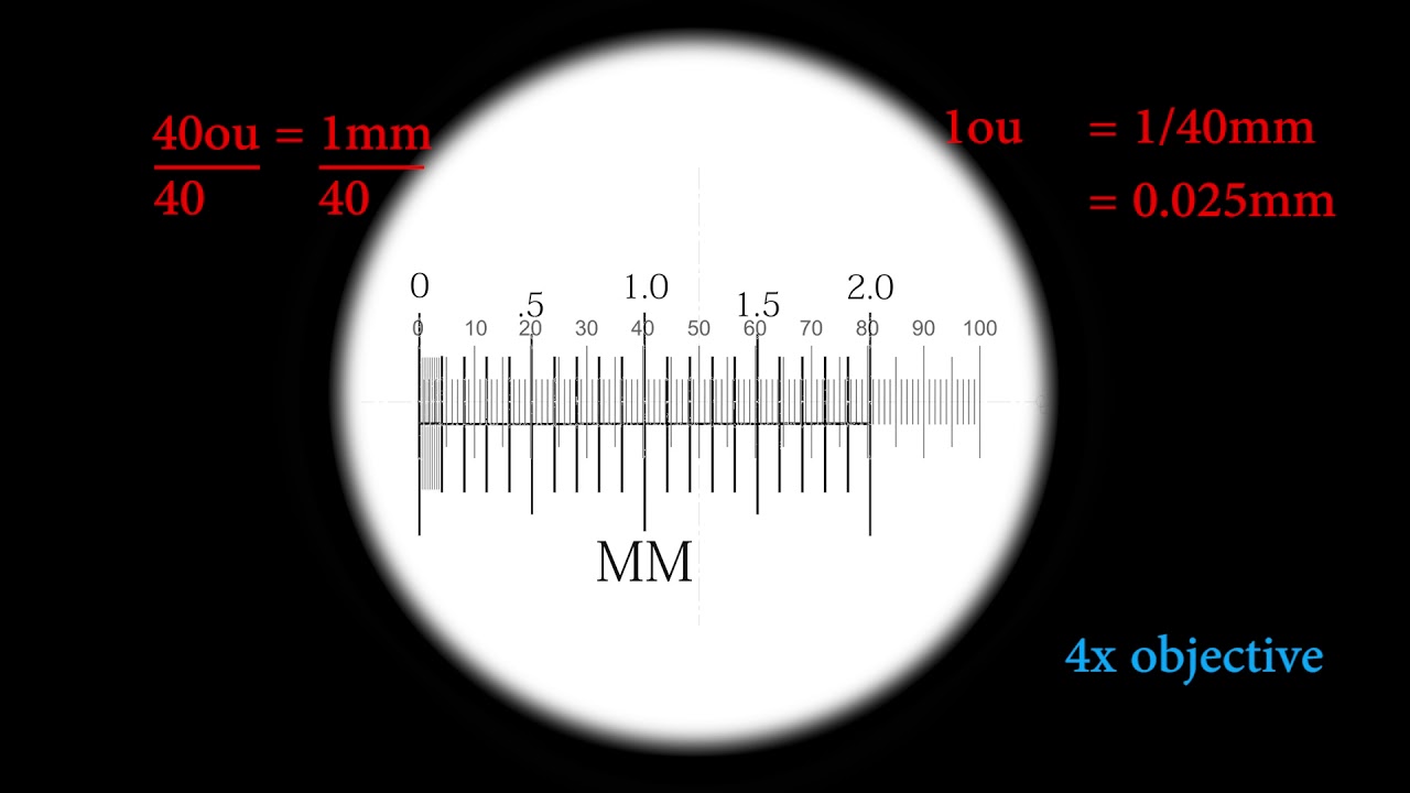 Cell Bio Micrometers