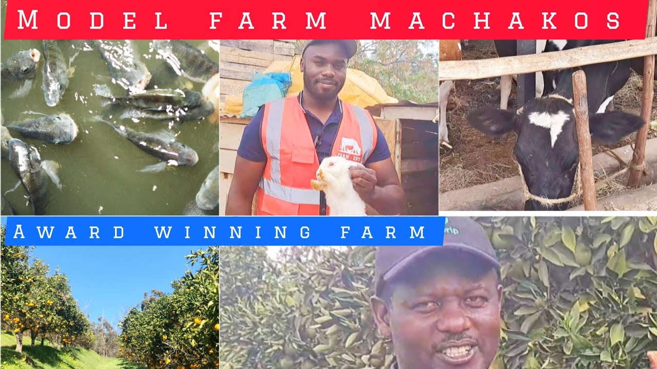 How should a model or demonstration farm look like? Machakos County Farmer has the key! #farming