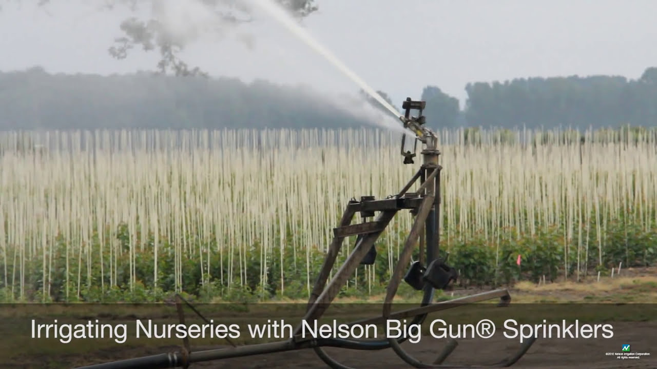 Irrigating Nurseries with Nelson Big Gun® Sprinklers on Hose Reel Travelers