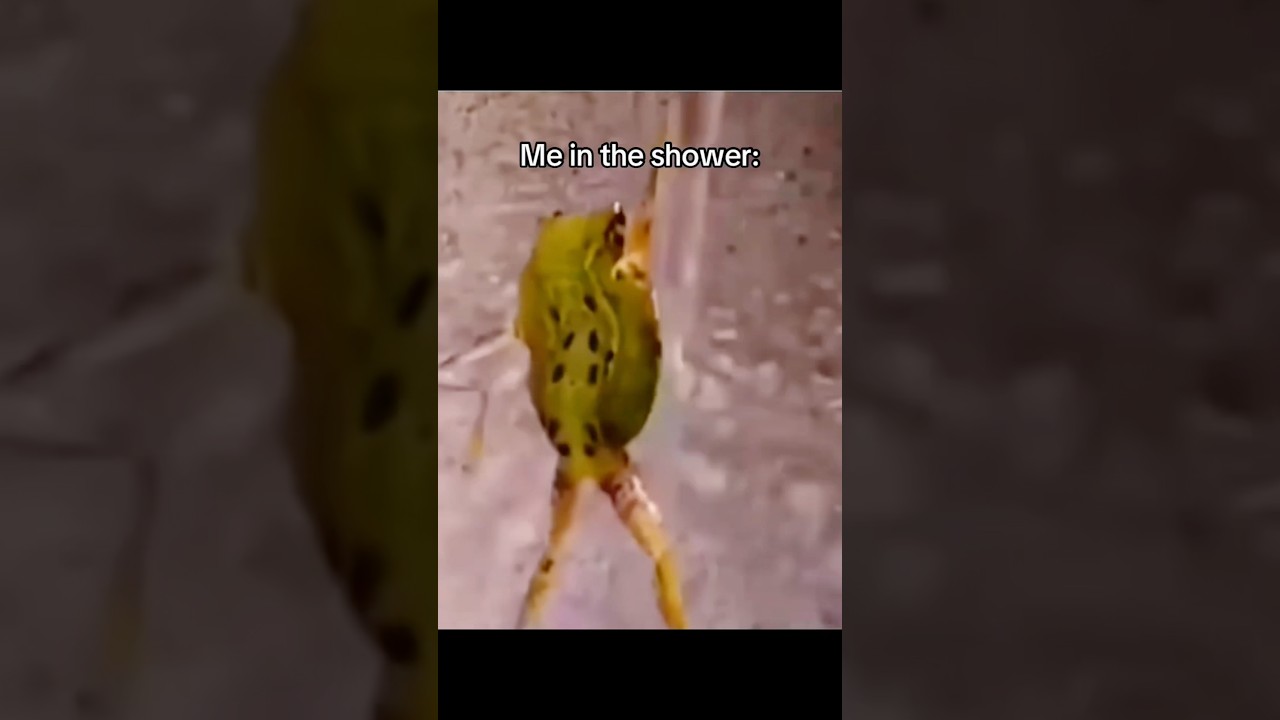 When the water bill is high 💀 #shorts #relatable #memes #shower #foryou