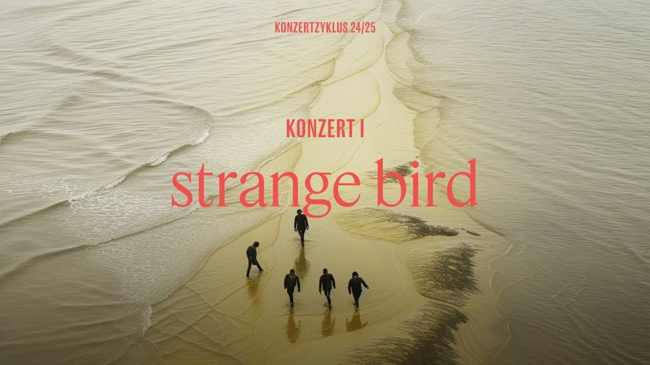 Clara Iannotta: vacant lot (strange bird) (2023)