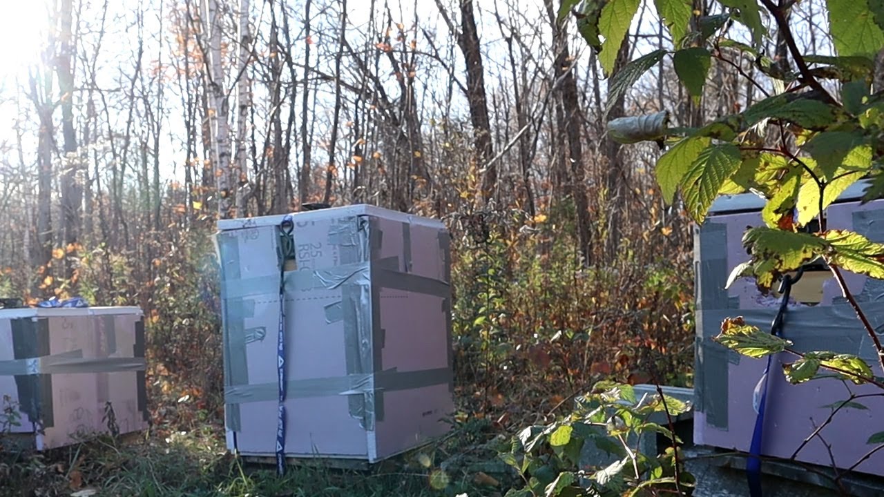 S2023.E18 - Préparation à l'hiver - Rucher de Québec