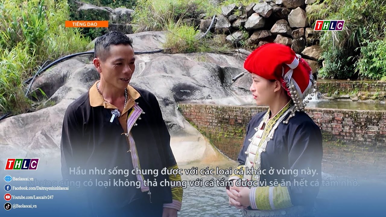 Chuyện trong làng ngoài bản (tiếng Dao) (12/9/2025)  | THLC